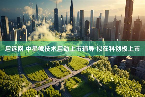 启远网 中星微技术启动上市辅导 拟在科创板上市