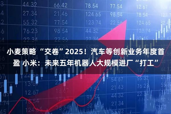 小麦策略 “交卷”2025！汽车等创新业务年度首盈 小米：未来五年机器人大规模进厂“打工”