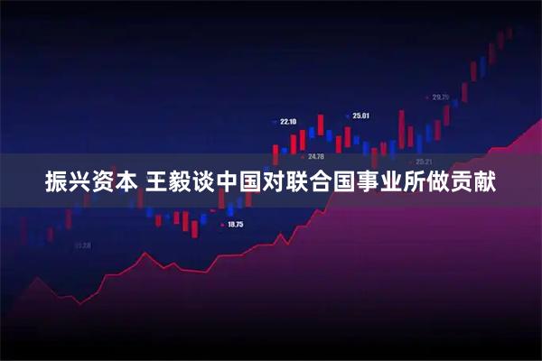 振兴资本 王毅谈中国对联合国事业所做贡献