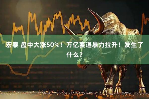宏泰 盘中大涨50%!万亿赛道暴力拉升!发生了什么?